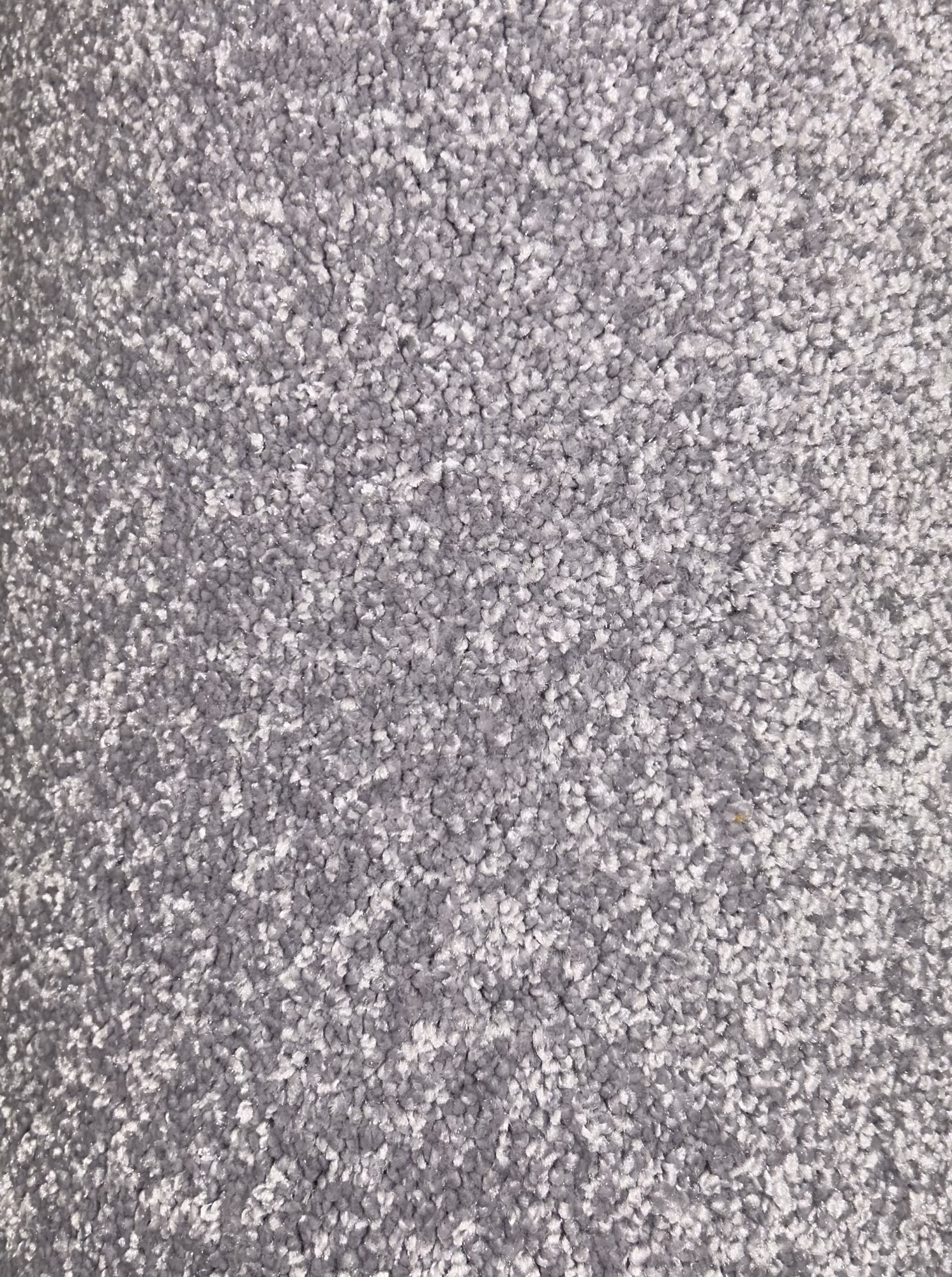 Discount Roll Ends from Carpet King Discount Carpets and Flooring in Dundee